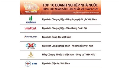 EVN thuộc Top 10 doanh nghiệp nhà nước nộp ngân sách lớn nhất Việt Nam