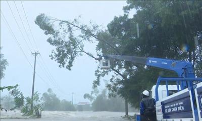 Kịp thời cấp điện trở lại hơn 881.000 khách hàng miền Trung - Tây Nguyên sau ngập lụt