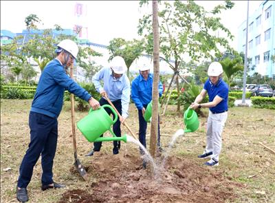 Công ty Nhiệt điện Thái Bình phát động “Tết trồng cây năm 2024”