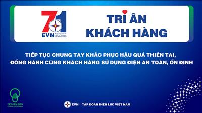 Tập đoàn Điện lực Việt Nam triển khai thực hiện Tháng tri ân khách hàng năm 2025