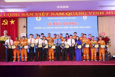 Vinh danh 117 cá nhân xuất sắc trong phong trào thi đua “Lao động giỏi, lao động sáng tạo” của EVN